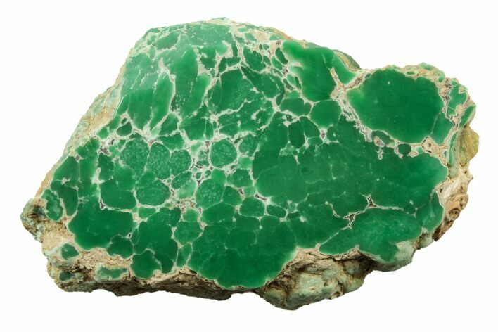 Polished Pastel Green Variscite Slice - Amatrice Hill, Utah #241194
